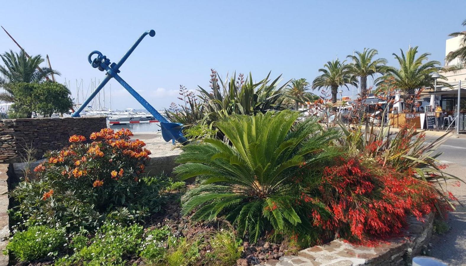 Studio A 100 M Du Port Et 500 M Des Plages อิแยร์ ภายนอก รูปภาพ