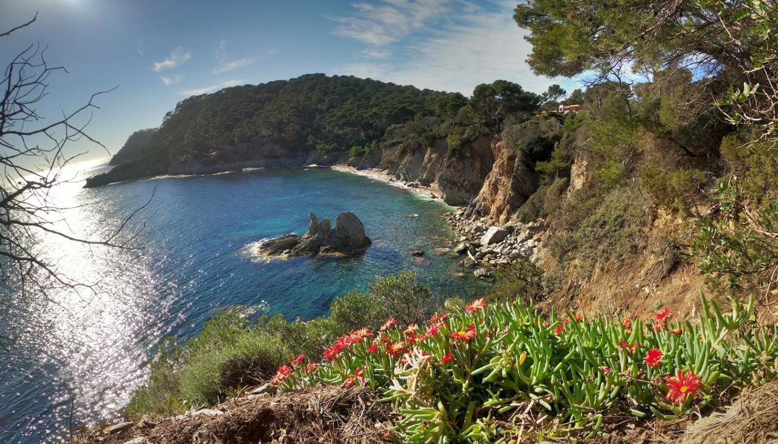 Studio A 100 M Du Port Et 500 M Des Plages อิแยร์ ภายนอก รูปภาพ